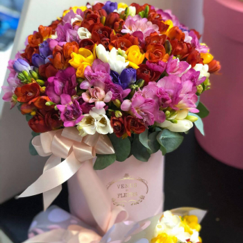 101 разноцветная фрезия в коробке