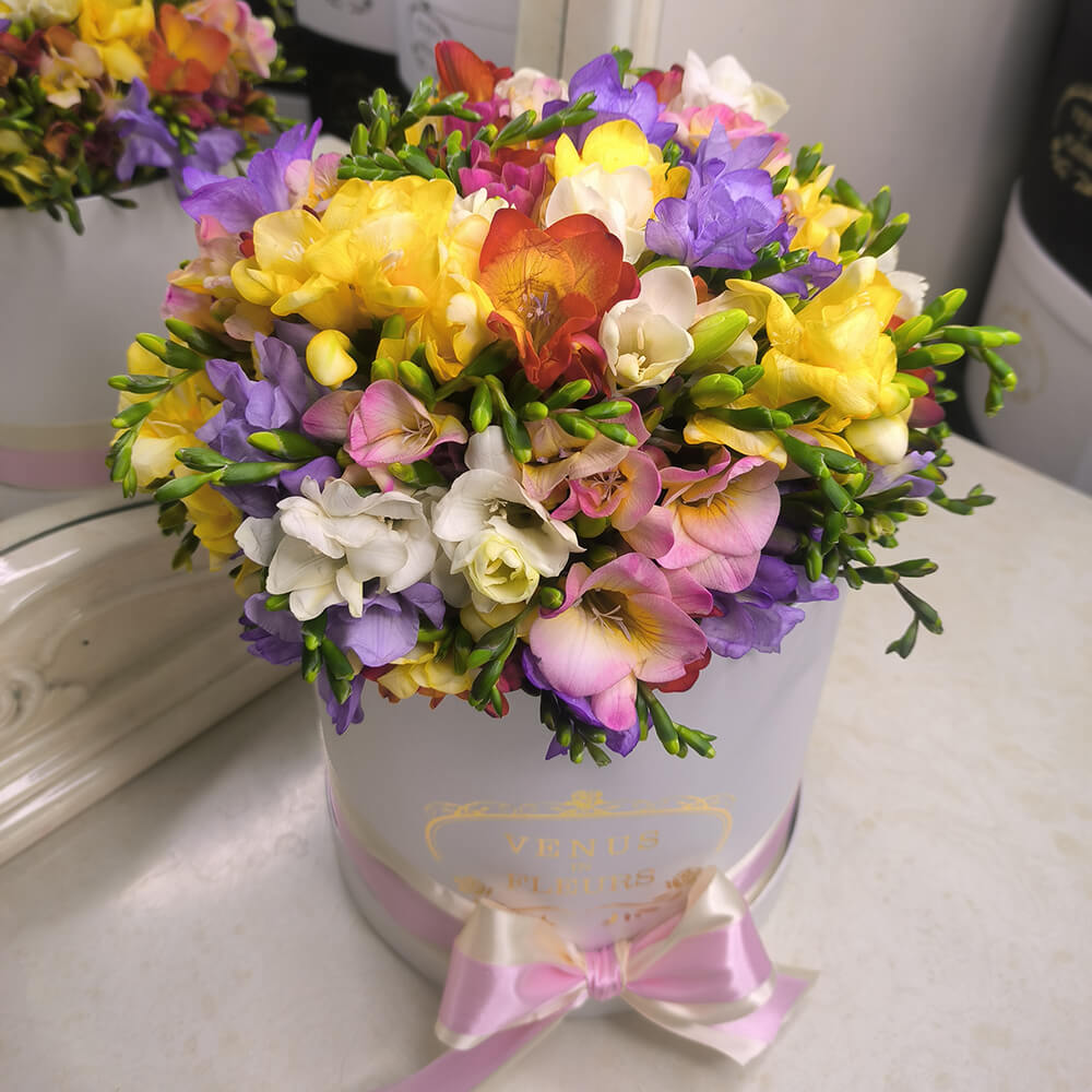 Микс из 101 фрезии в коробке