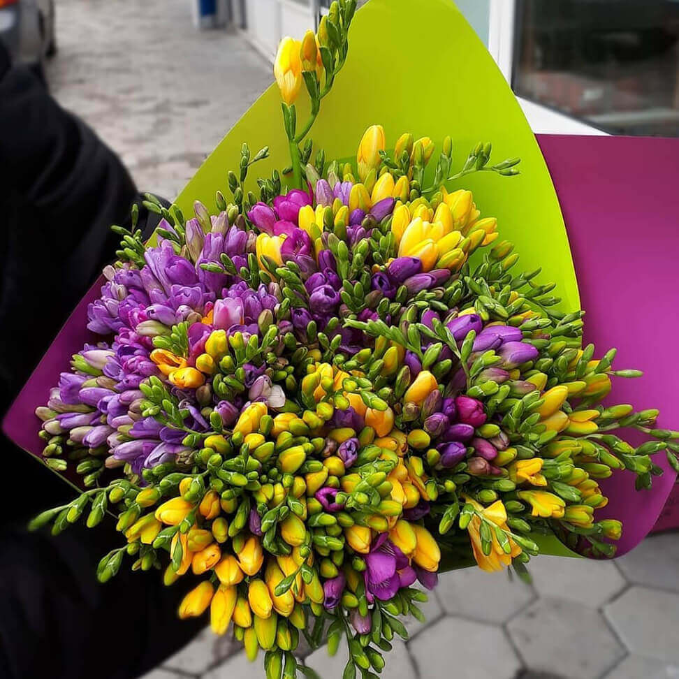 151 разноцветная фрезия в букете