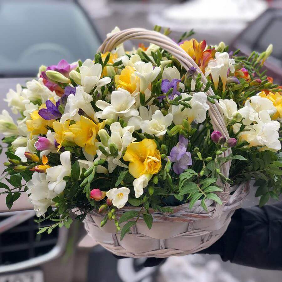 151 фрезия в корзине