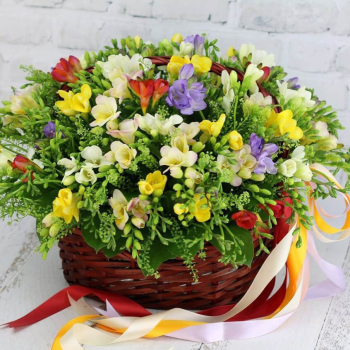 201 разноцветная фрезия в корзине
