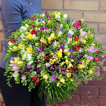 201 фрезия в букете