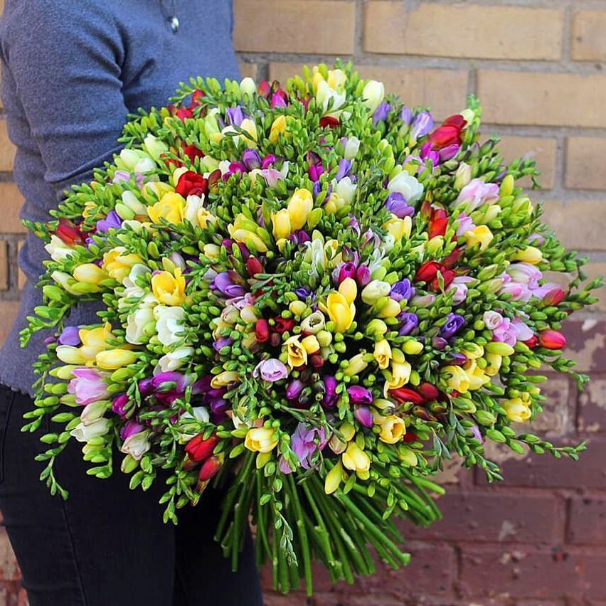 201 фрезия в букете