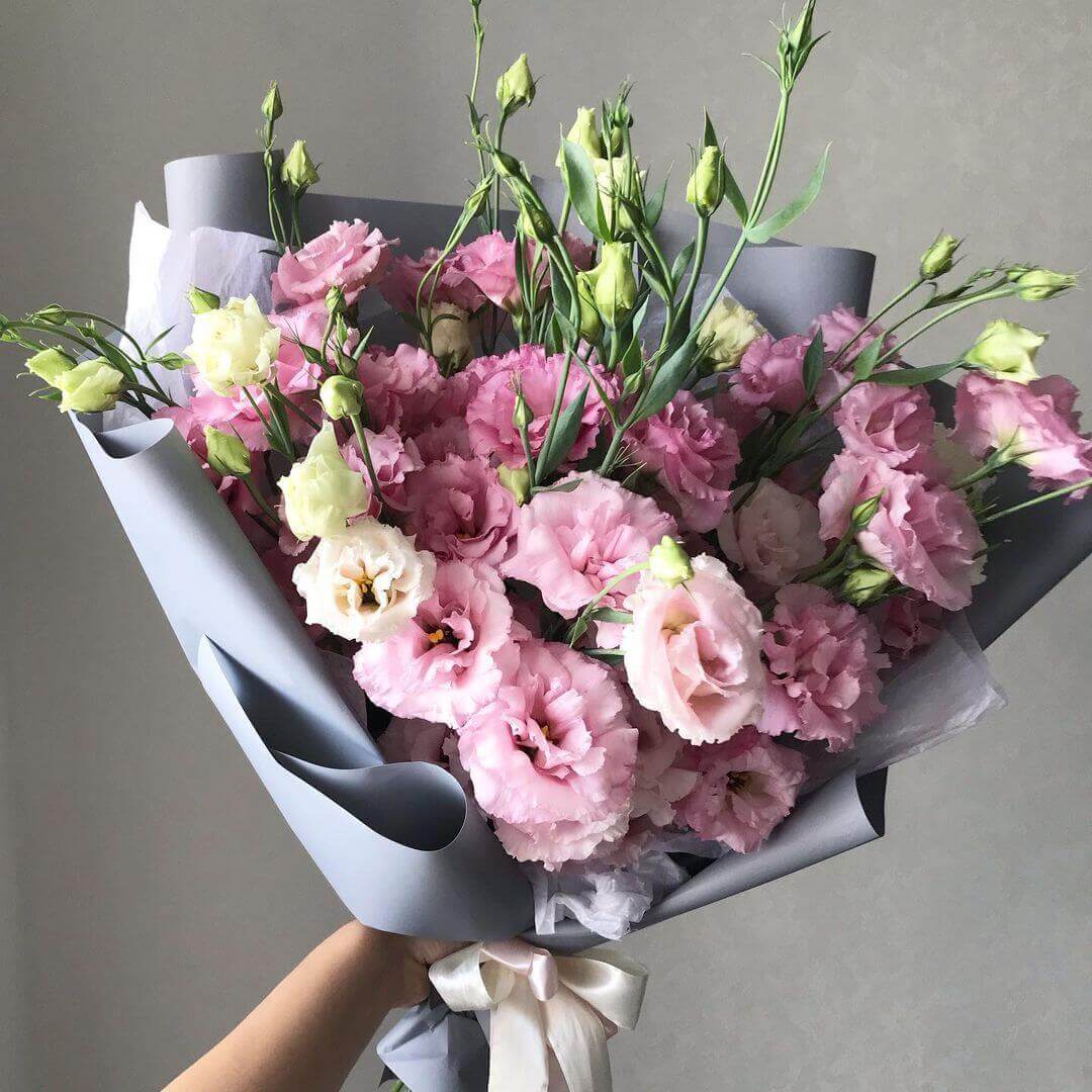 19 бело-розовых эустом