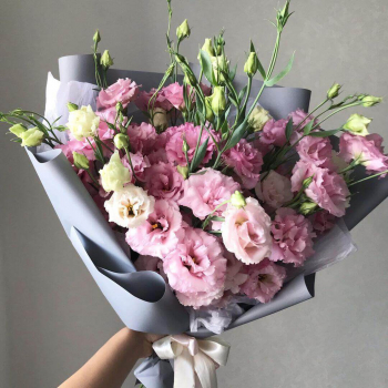 19 бело-розовых эустом