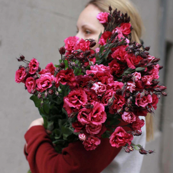 19 бордовых эустом в букете