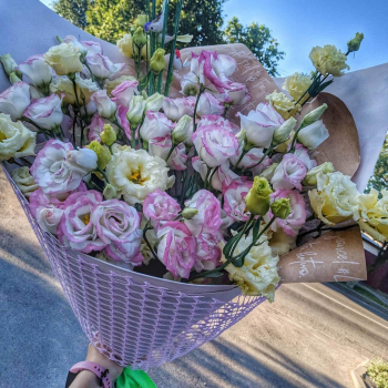 19 нежных эустом в букете
