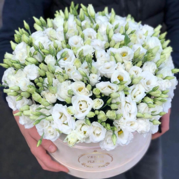 51 белая эустома в коробке 51 белая эустома в коробке