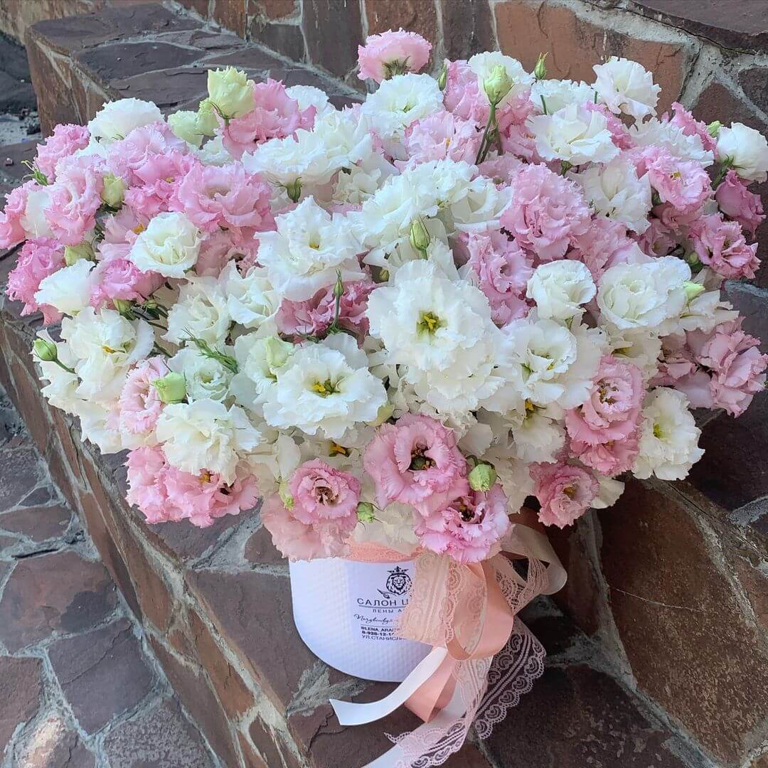 51 пышная эустома в коробке