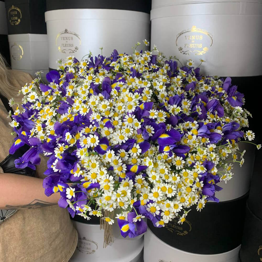 25 ромашек с 50 ирисами в букете