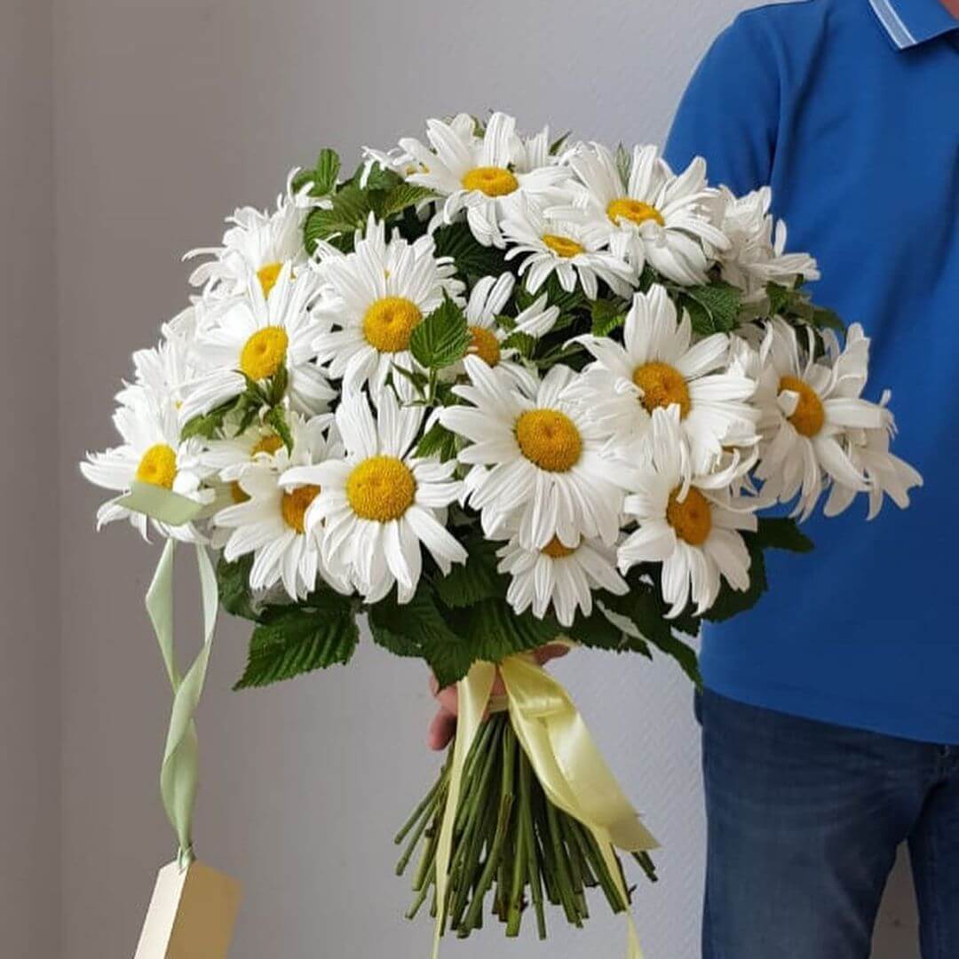 51 ромашка сферой в букете