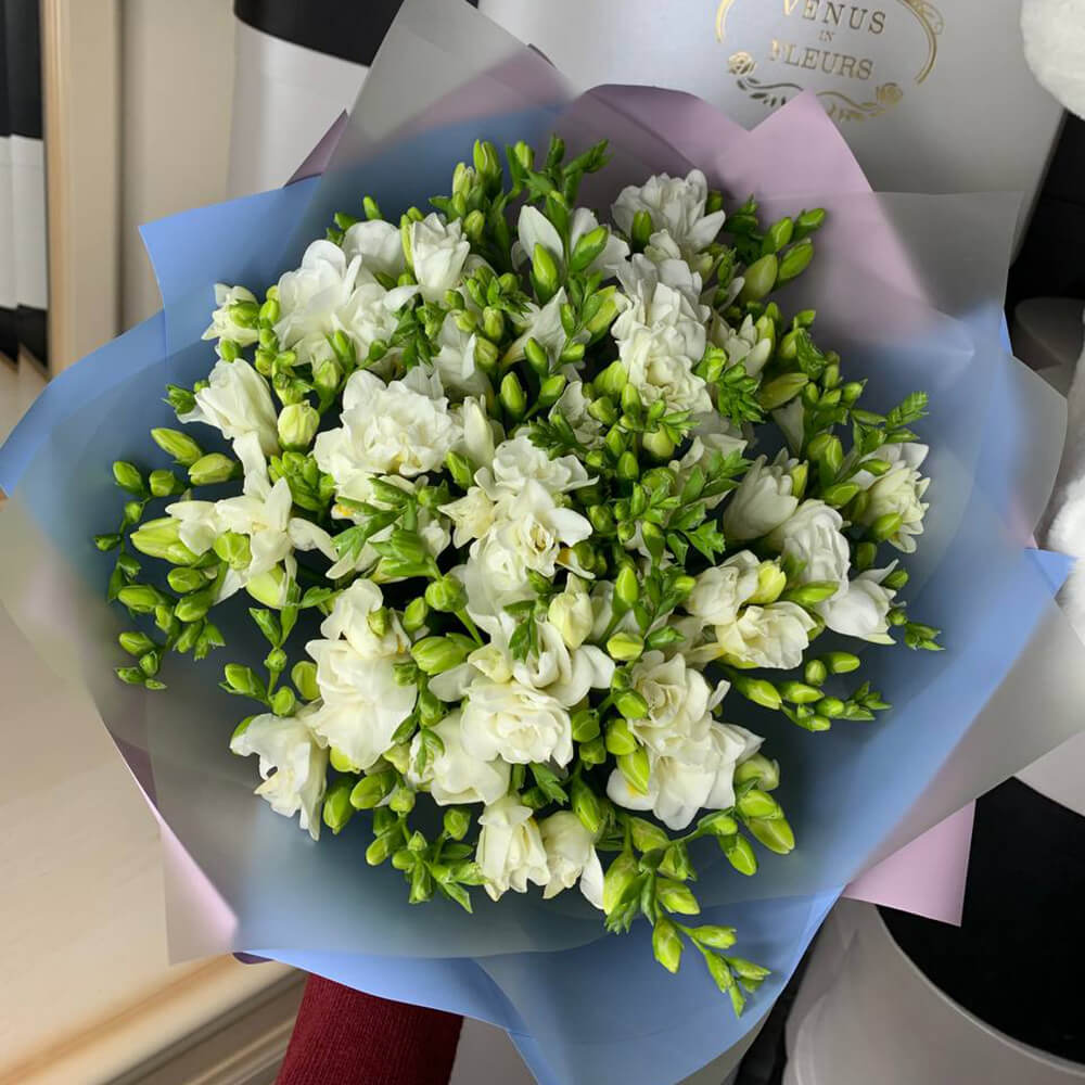 51 белая фрезия