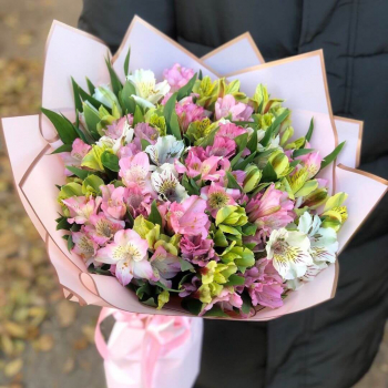 29 альстромерий в нежных тонах 29 альстромерий в нежных тонах