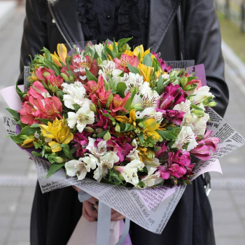 29 разноцветных альстромерий