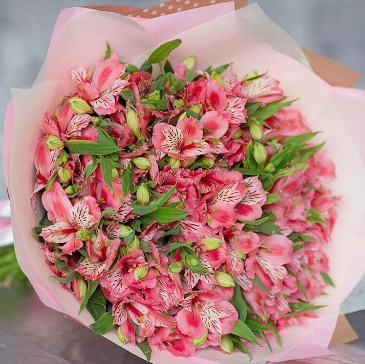 29 розовых альстромерий