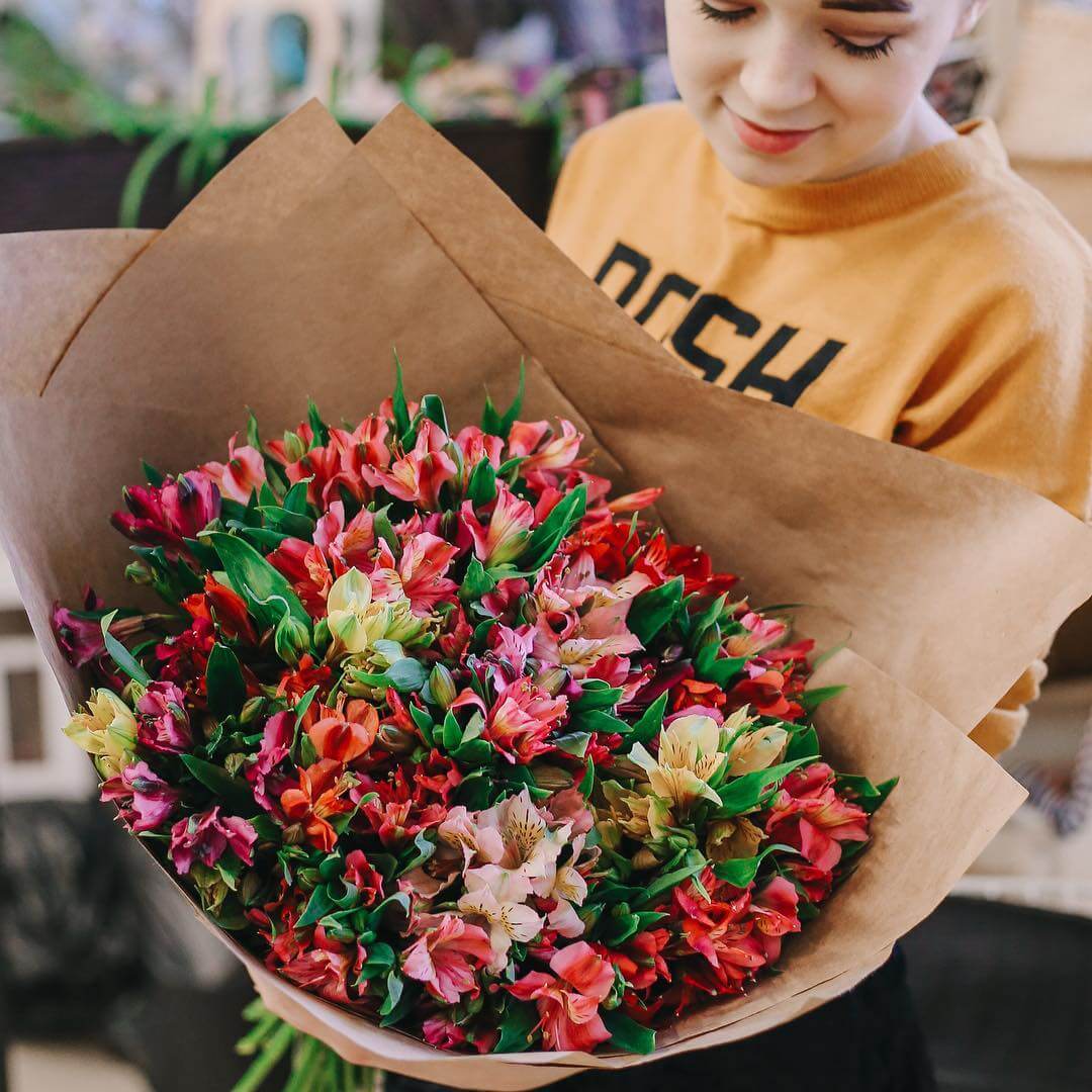 41 бордовая альстромерия