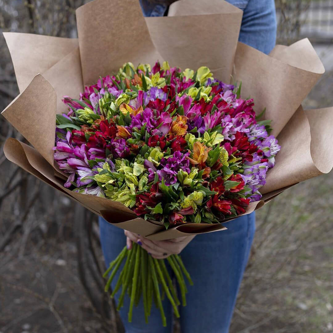 41 разноцветная альстромерия