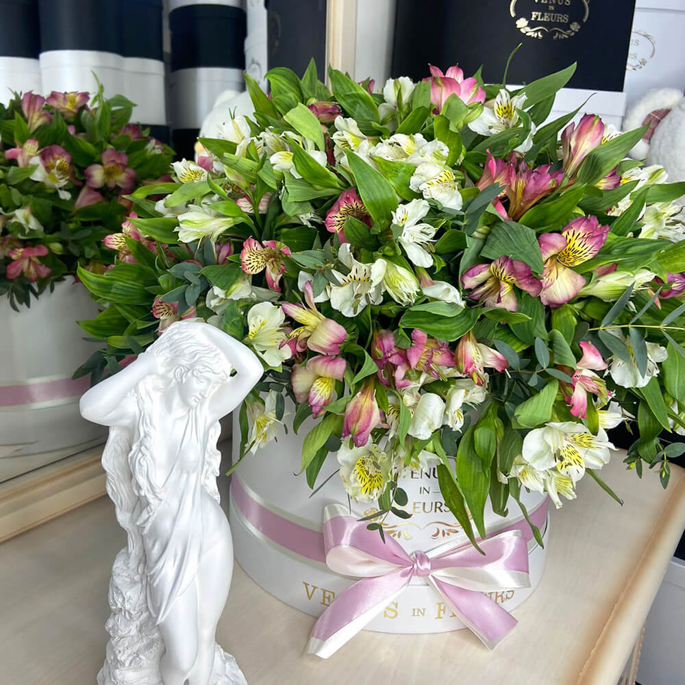 51 альстромерия в коробке