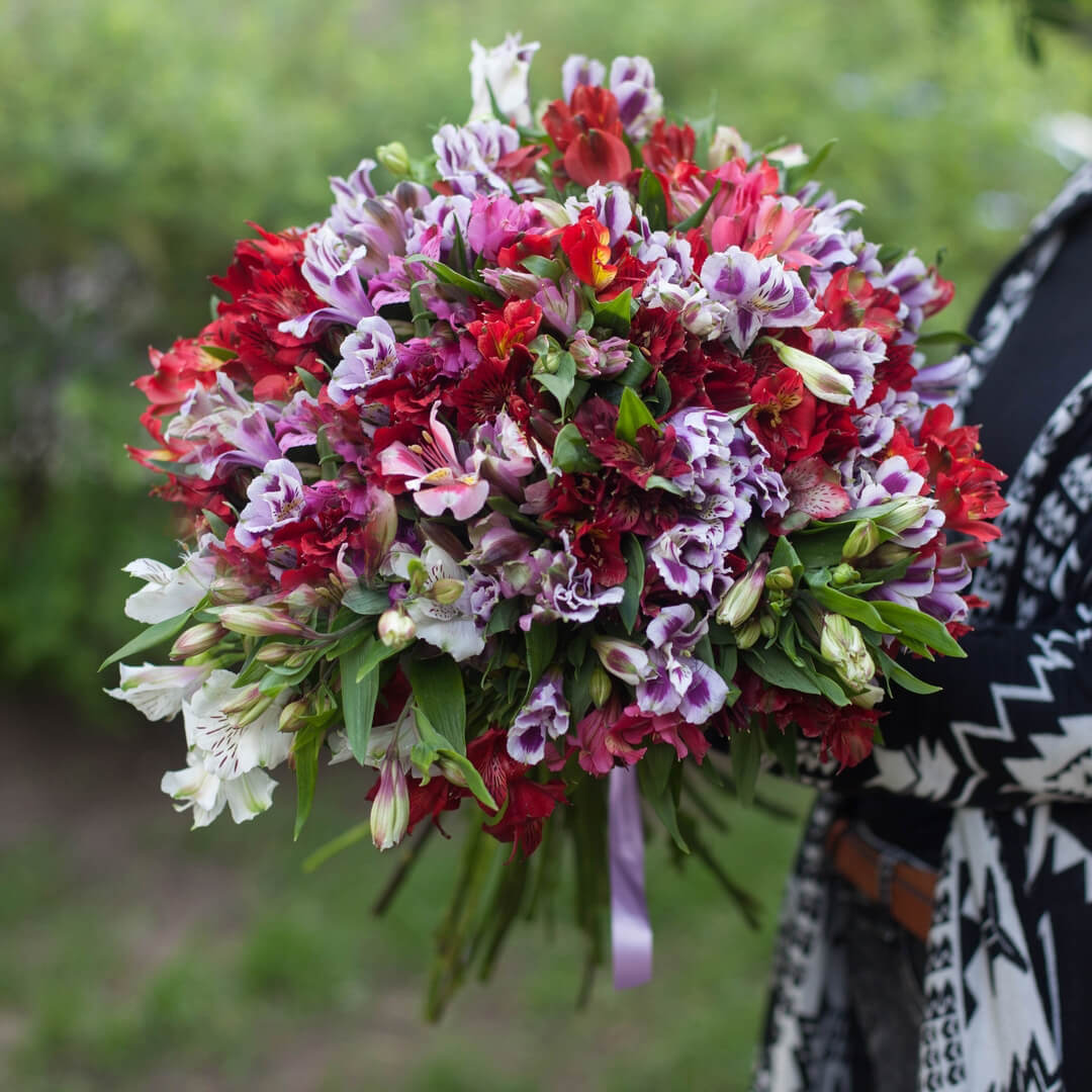 51 разноцветная альстромерия