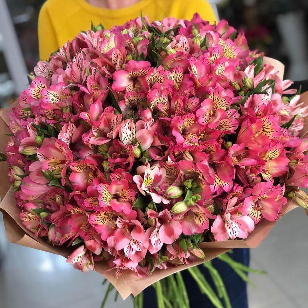 81 розовая альстромерия