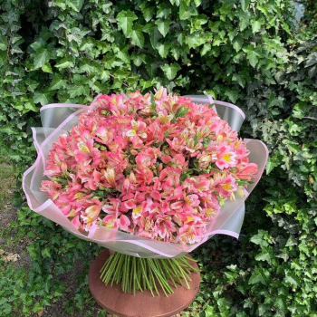 201 розовая альстромерия