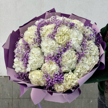 19 гортензий с гипсофилой