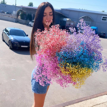 25 радужных гипсофил в букете 25 радужных гипсофил в букете