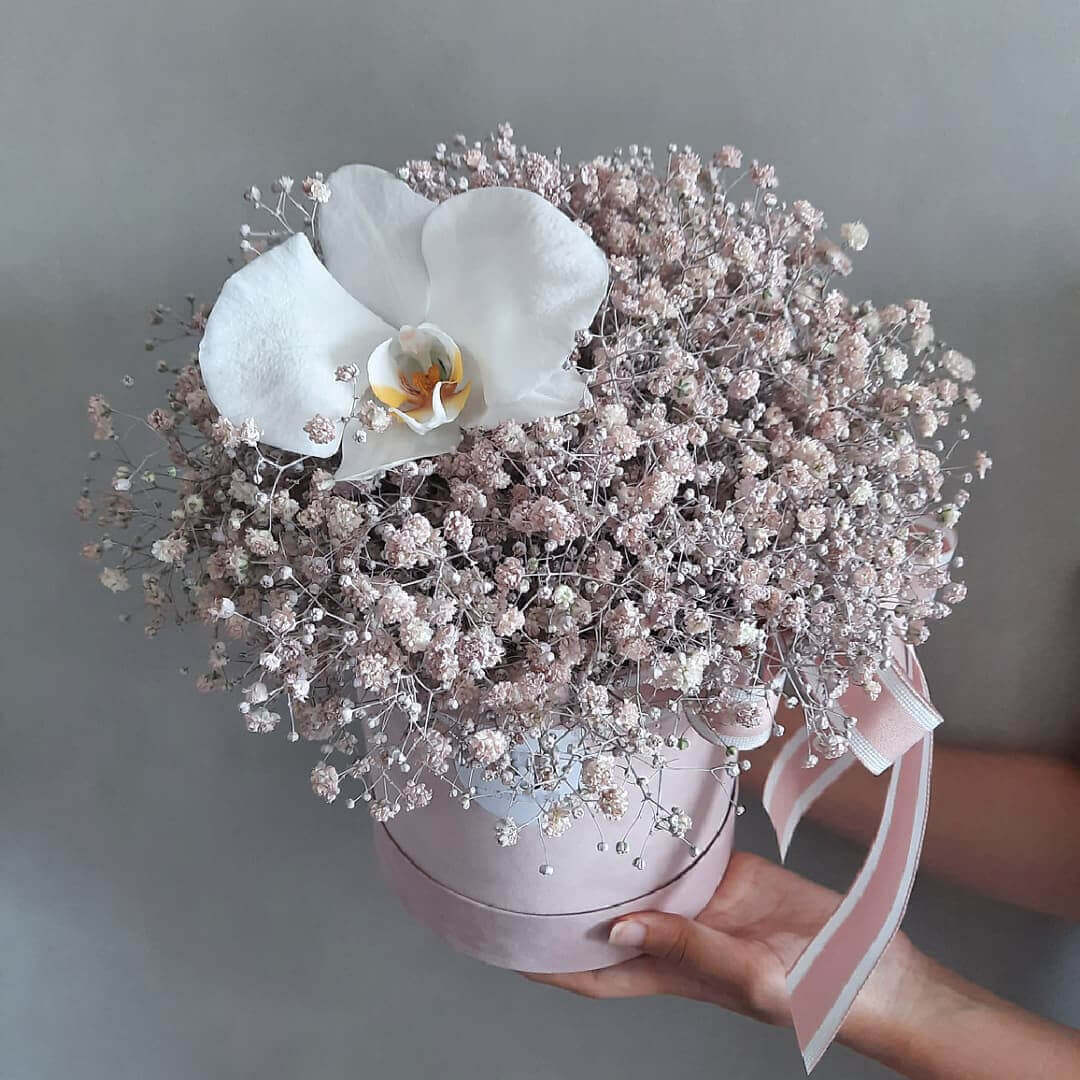15 розовых гипсофил с орхидей в коробке