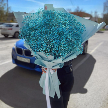 25 бирюзовых гипсофил в букете