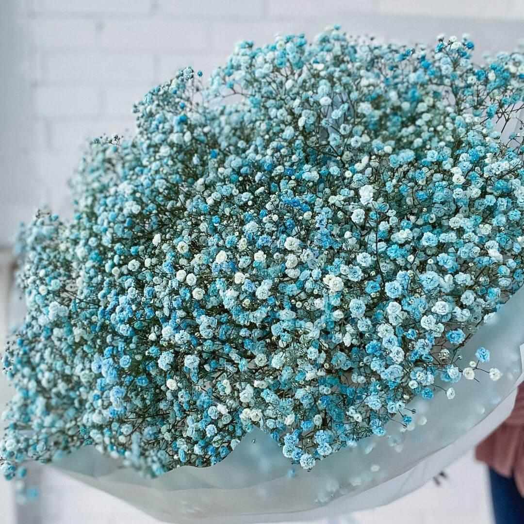 51 бирюзовая гипсофила в букете