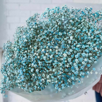 51 бирюзовая гипсофила в букете