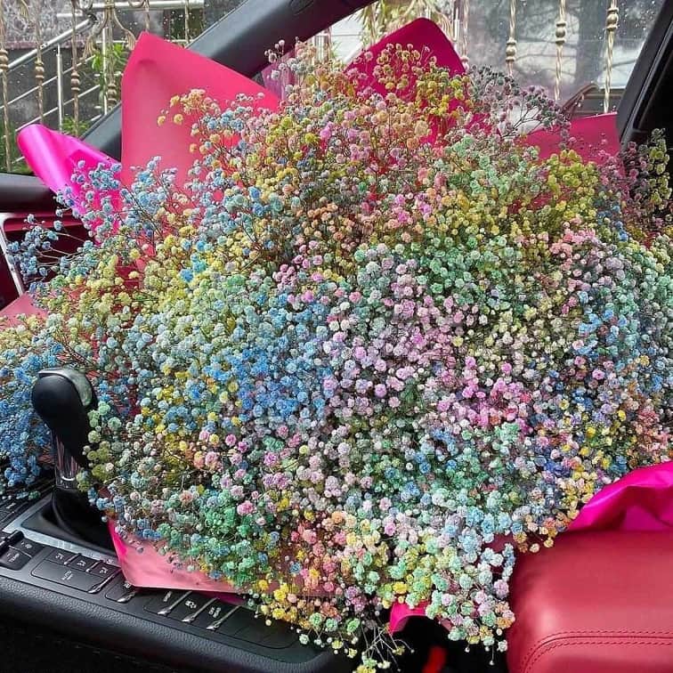 101 разноцветная гипсофила