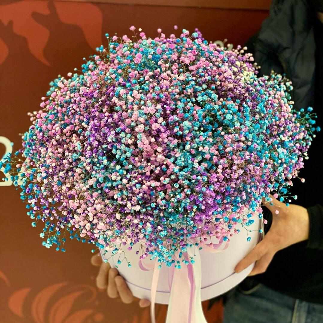 25 сине-розовых гипсофил в коробке