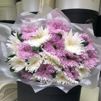 19 бело-розовых хризантем в букете