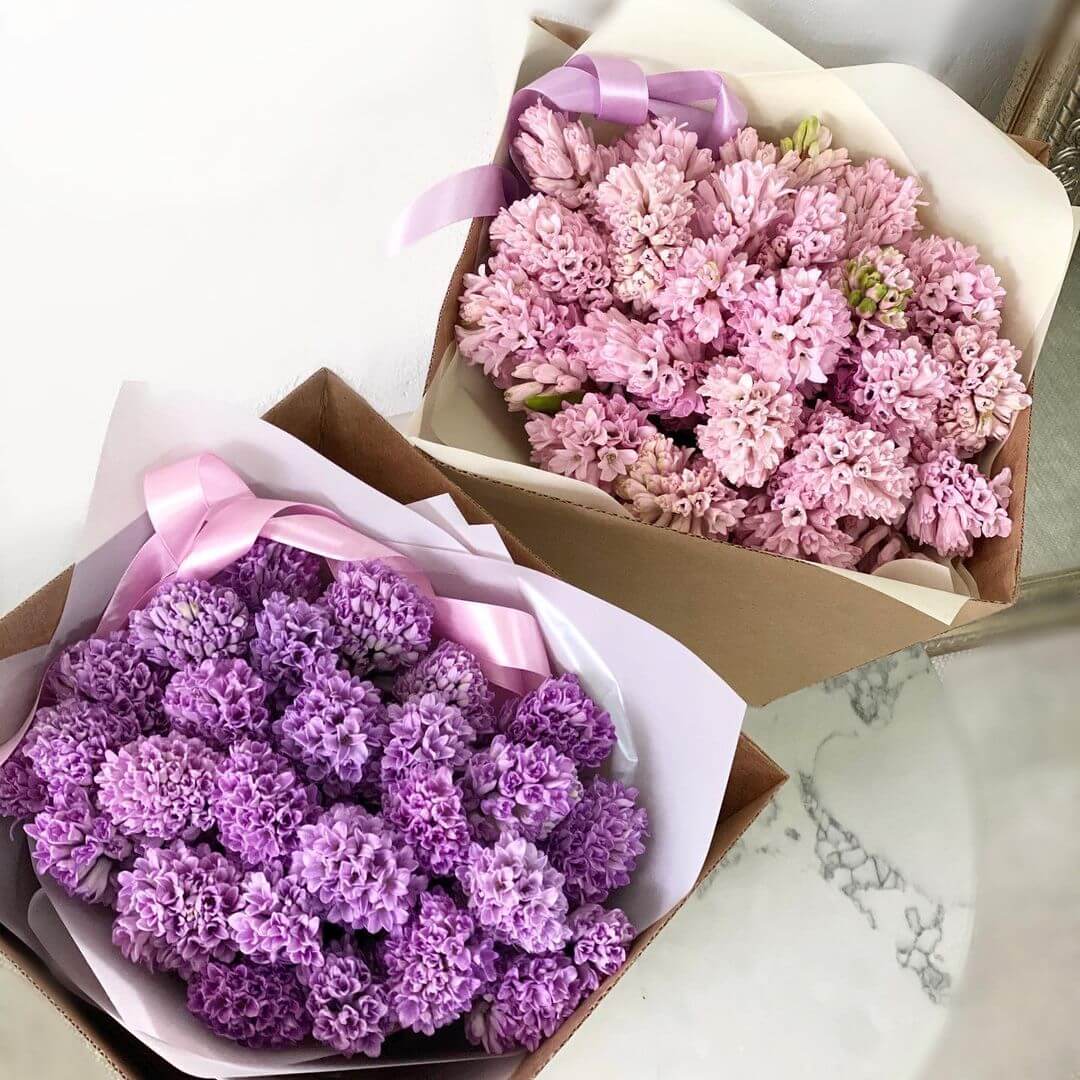 19 гиацинт моно-букет