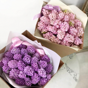 19 гиацинт моно-букет 19 гиацинт моно-букет