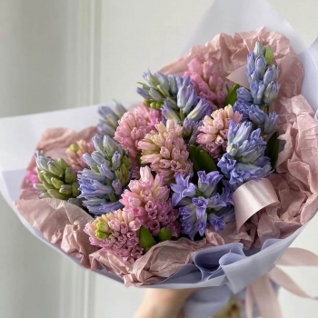 19 розово-фиолетовых гиацинт