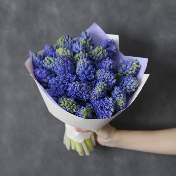 19 синих гиацинт в букете 19 синих гиацинт в букете