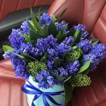 19 синих гиацинт в коробке 19 синих гиацинт в коробке