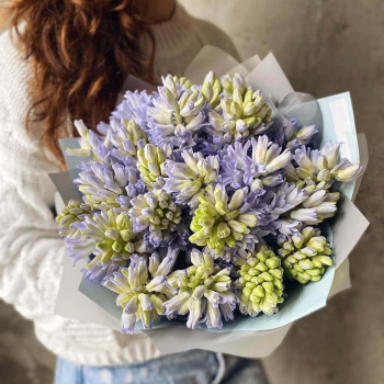 19 бело-фиолетовых гиацинт в букете
