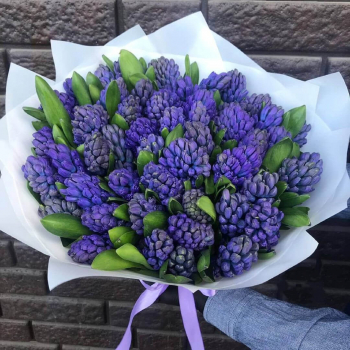 25 синих гиацинт в букете