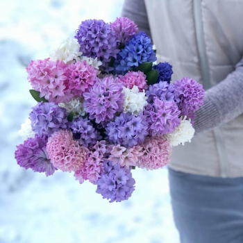 25 гиацинт в букете