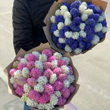 51 гиацинт в букете