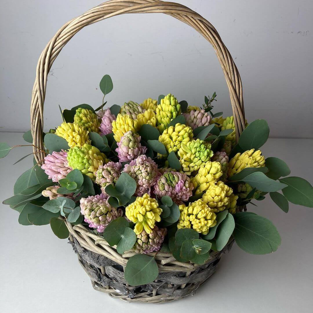 51 розово-зеленый гиацинт в корзине