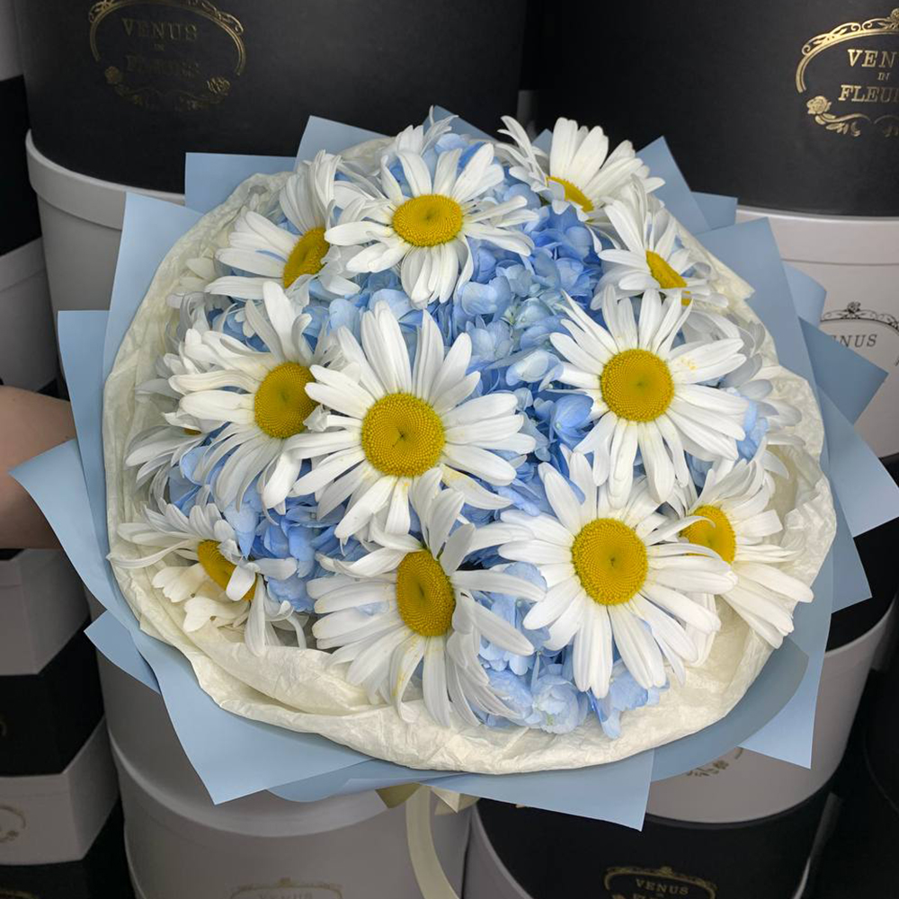 Ромашки с гортензиями - 25 шт.
