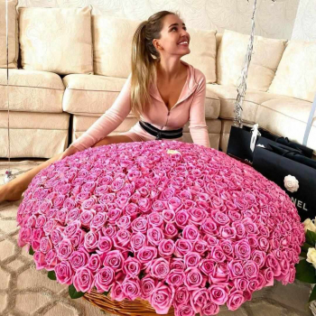 501 розовая роза в корзине