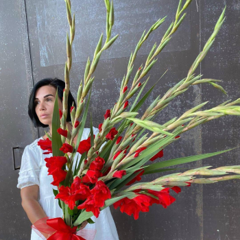 9 красных гладиолусов в букете