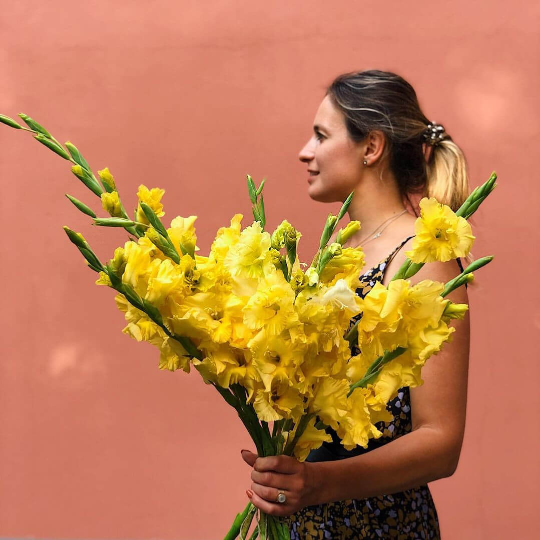 9 желтых гладиолусов