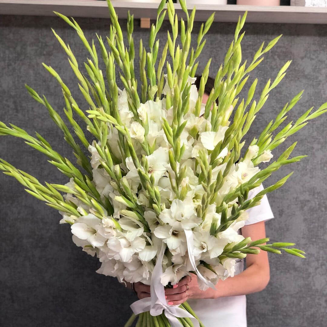 51 белый гладиолус в букете