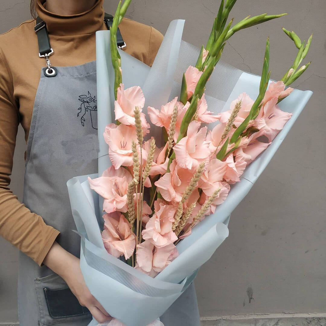 9 розовых гладиолусов с колосьями